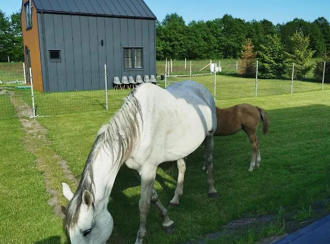 Zakatek Дом отдыха *